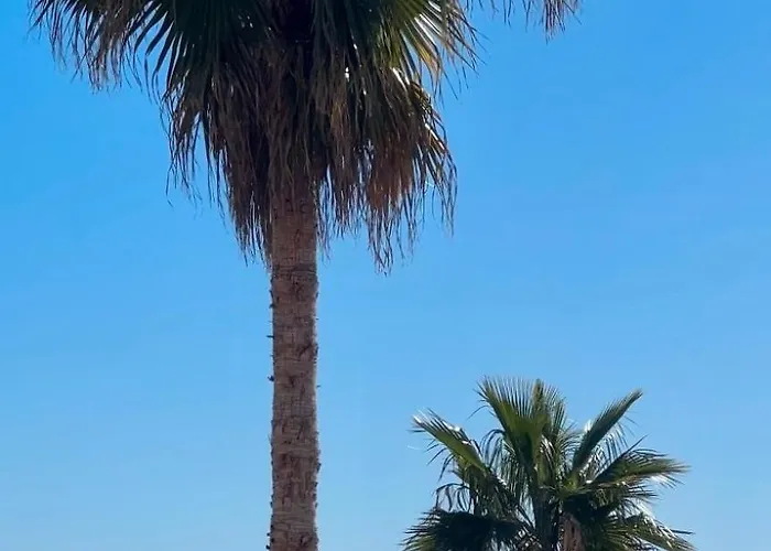 Apartman Oasi La Palma, A Due Passi Dal Mare! Loano